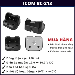 pin-bo-dam-icom-bc-213-vung-tau